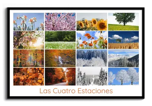 Collage Premium Natur: Estaciones del Año