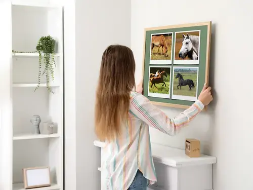 Animales en la Naturaleza: Collage Polaroid