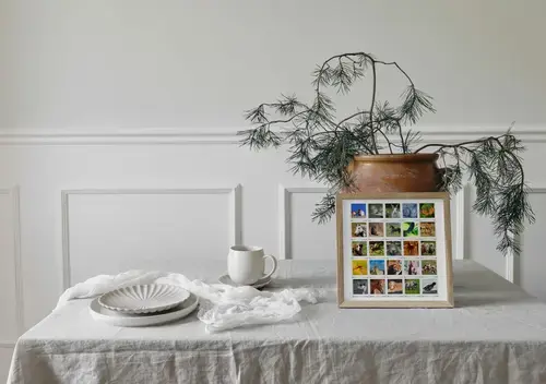 Animales en la Naturaleza: Collage Polaroid