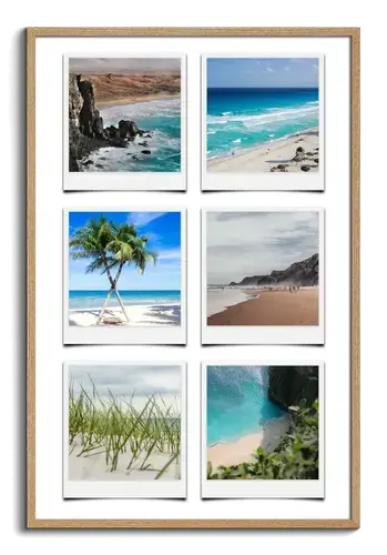 Collage Polaroid Natur y Estaciones