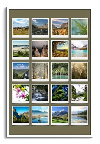 Collage Polaroid Natur y Estaciones