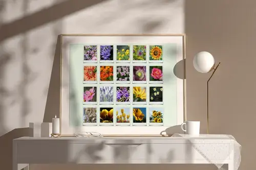 Collage Polaroid Natur y Estaciones