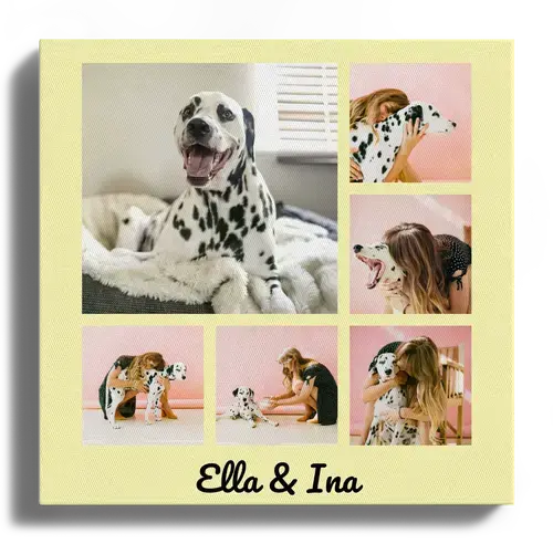 Fotocollage de las mejores fotos de perros