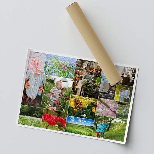 Collages de fotos de primavera con flores y prados