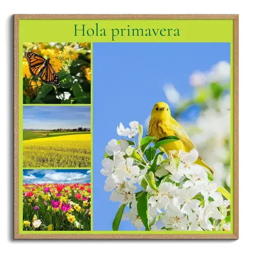Collages de fotos de primavera con flores y prados