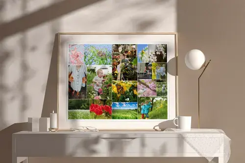 Collages de fotos de primavera con flores y prados
