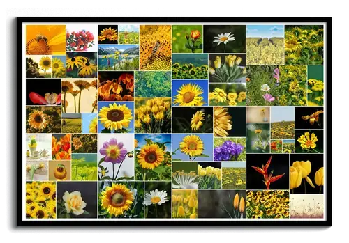 Collage salvaje con fotos de flores del jardin