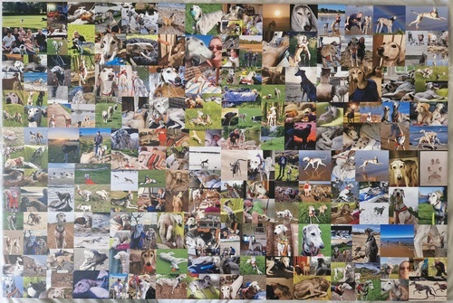 Foto del cliente Beverley para la valoración Impresión Fotocollage Lienzo 36x24"