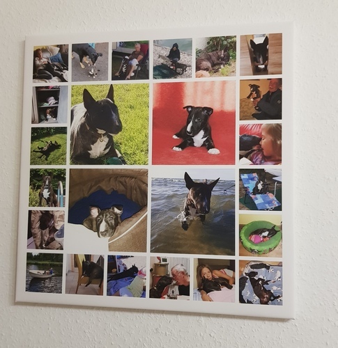 Foto del cliente Bianca para la valoración Impresión Fotocollage Lienzo 50x50cm