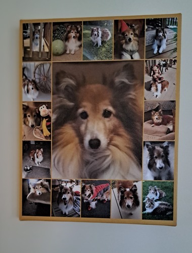 Foto del cliente Regina para la valoración Impresión Fotocollage Lienzo 11x14"