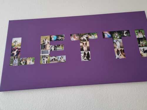 Foto del cliente Ulrike para la valoración Impresión Fotocollage Lienzo 100x50cm