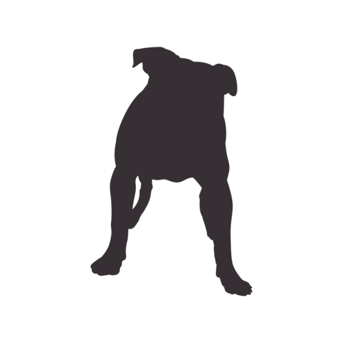 Silueta de perro American Bully de pie