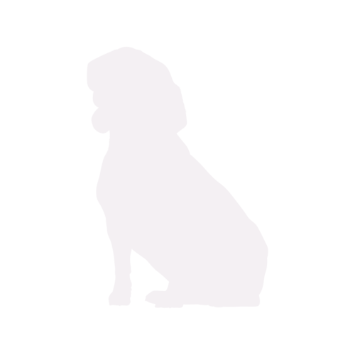 Silueta de perro Beagle sentado
