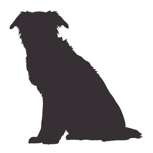 Silueta de perro Border Collie sentado