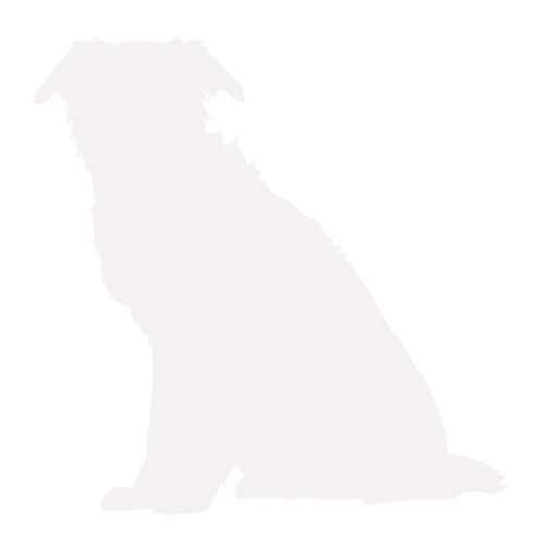 Silueta de perro Border Collie sentado
