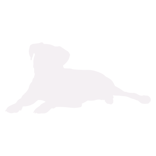 Silueta de perro Bóxer sentado