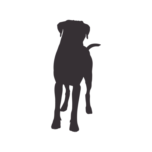 Silueta de perro Bóxer de pie