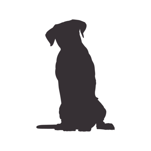 Silueta de perro Cane Corso sentado