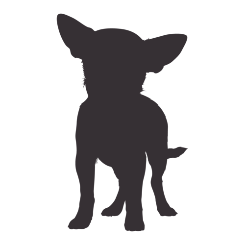 Silueta de perro Chihuahua de pie