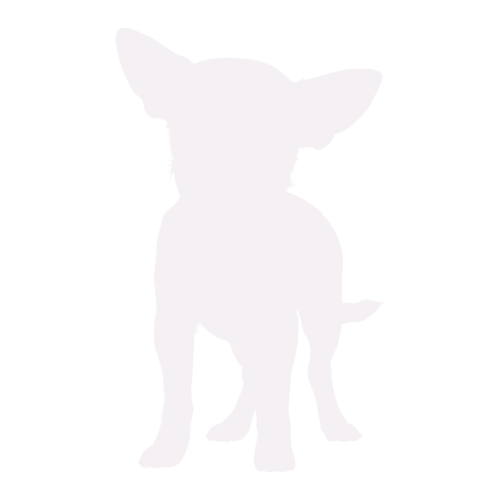 Silueta de perro Chihuahua de pie