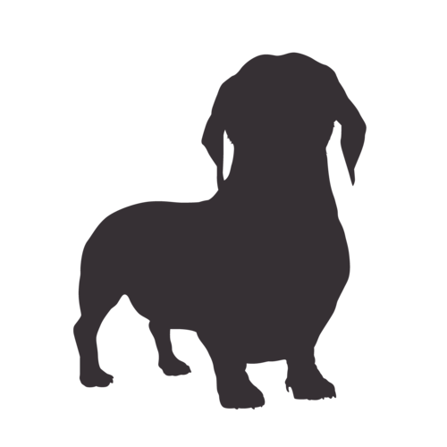 Silueta de perro Dachshund de pie