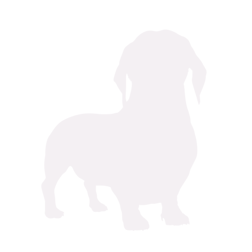 Silueta de perro Dachshund de pie