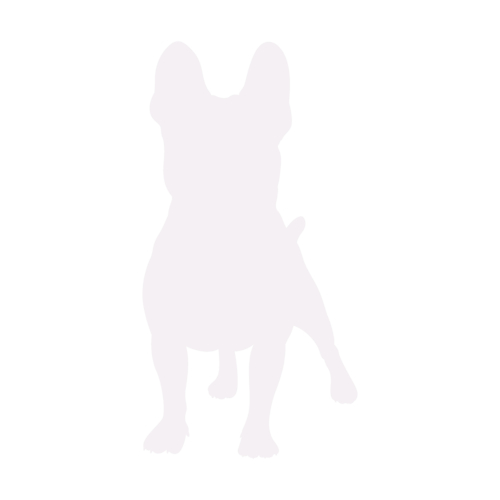 Silueta de perro Bulldog Francés de pie