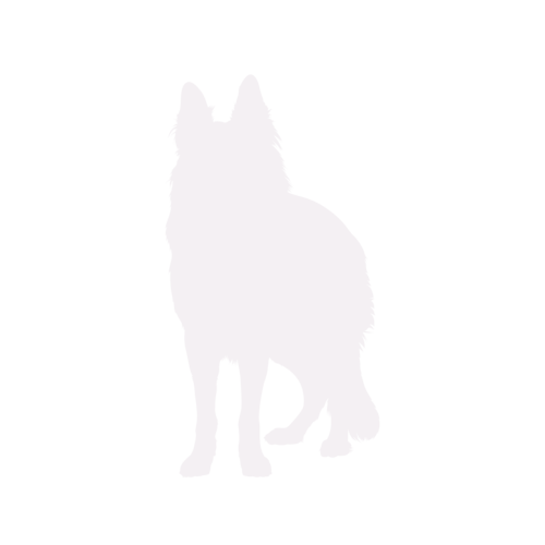 Silueta de perro Pastor Alemán de pie