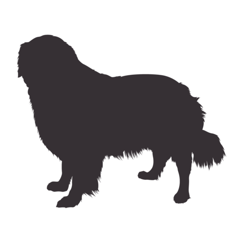 Silueta de perro Golden Retriever de pie