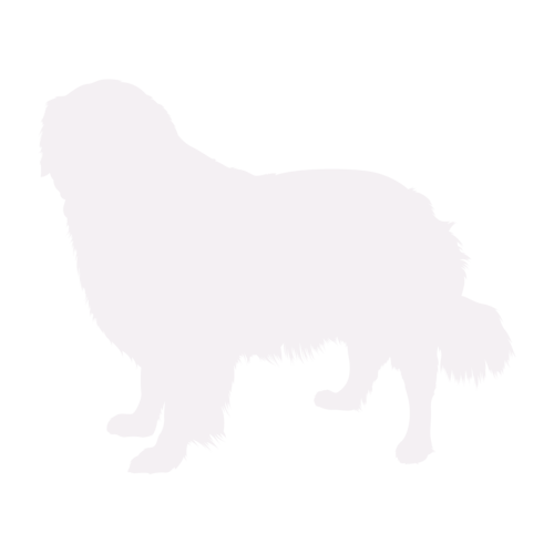Silueta de perro Golden Retriever de pie