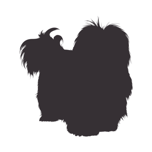 Silueta de perro Habanés de pie