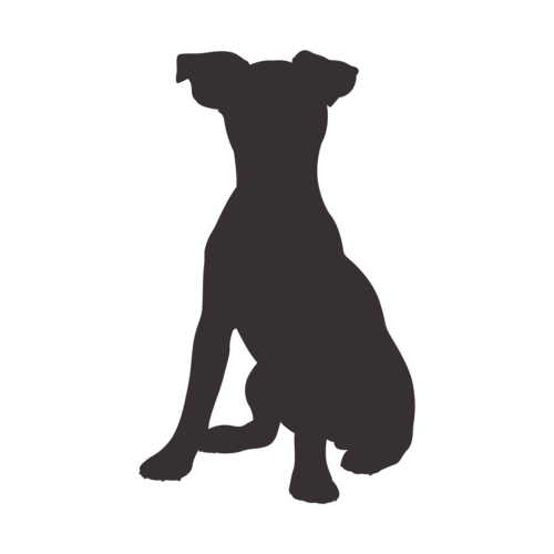 Silueta de perro Jack Russell Terrier sentado