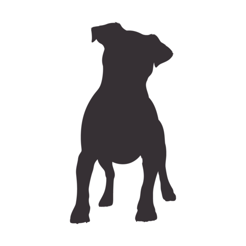 Silueta de perro Jack Russell Terrier de pie