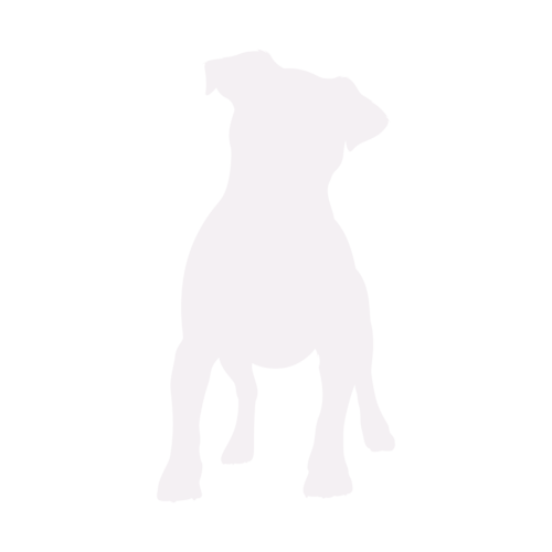 Silueta de perro Jack Russell Terrier de pie