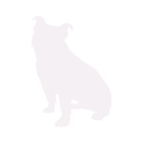 Silueta de perro Bulldog Inglés Antiguo sentado