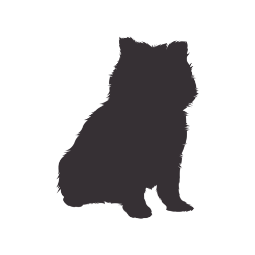 Silueta de perro Pomerania sentado