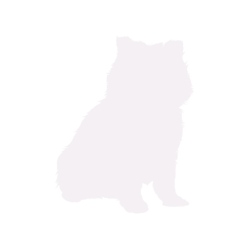 Silueta de perro Pomerania sentado