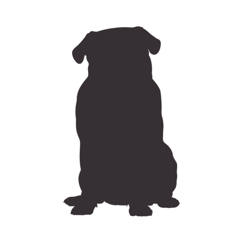 Silueta de perro Carlino sentado
