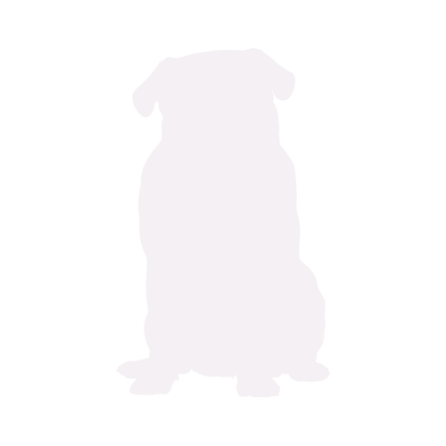 Silueta de perro Carlino sentado