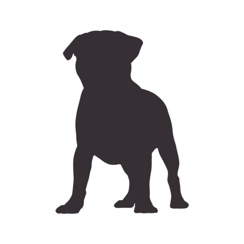 Silueta de perro Carlino de pie