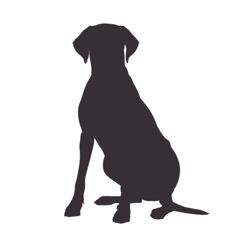 Silueta de perro Rhodesian Ridgeback sentado