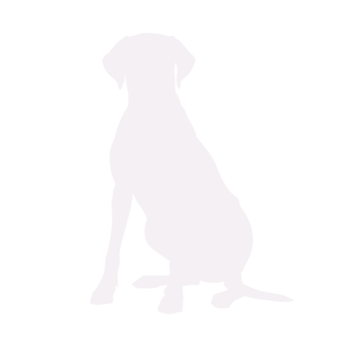 Silueta de perro Rhodesian Ridgeback sentado