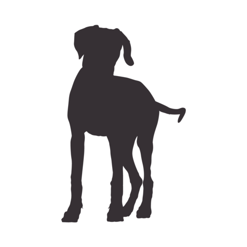 Silueta de perro Rhodesian Ridgeback de pie