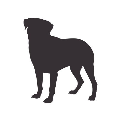 Silueta de perro Rottweiler de pie