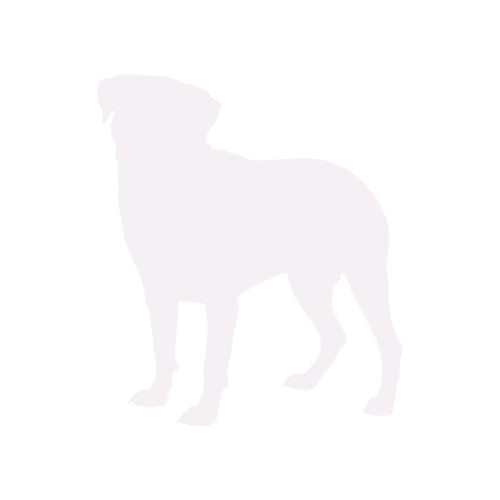 Silueta de perro Rottweiler de pie