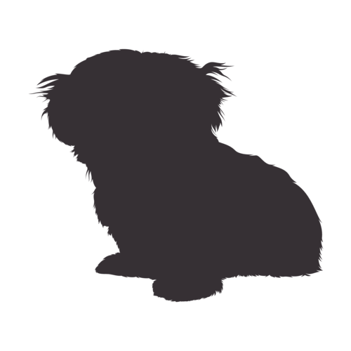Silueta de perro Shih Tzu sentado