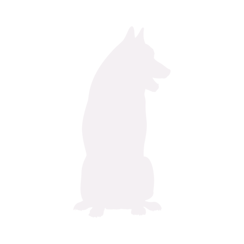 Silueta de perro Husky Siberiano sentado