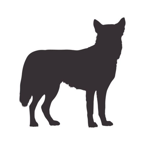 Silueta de perro Husky Siberiano de pie