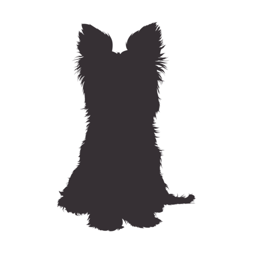 Silueta de perro Yorkshire Terrier sentado