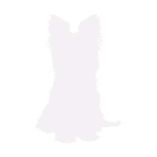 Silueta de perro Yorkshire Terrier sentado